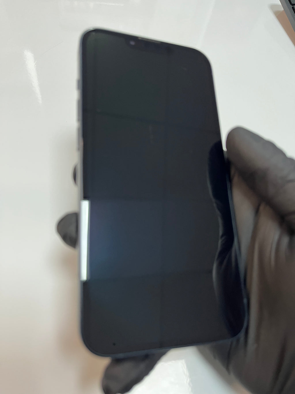 Apple iPhone 13 (Show model)